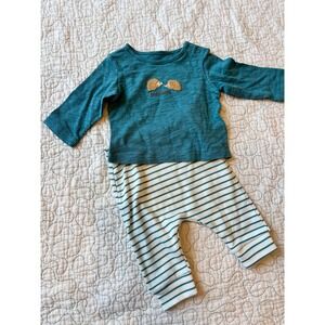 Cloud Island Baby 0-3 Months Hedgehog Best Friends Top and Striped Leggings Set